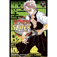 Demon Slayer, Vol. 17 by Koyoharu Gotouge - English Mangas