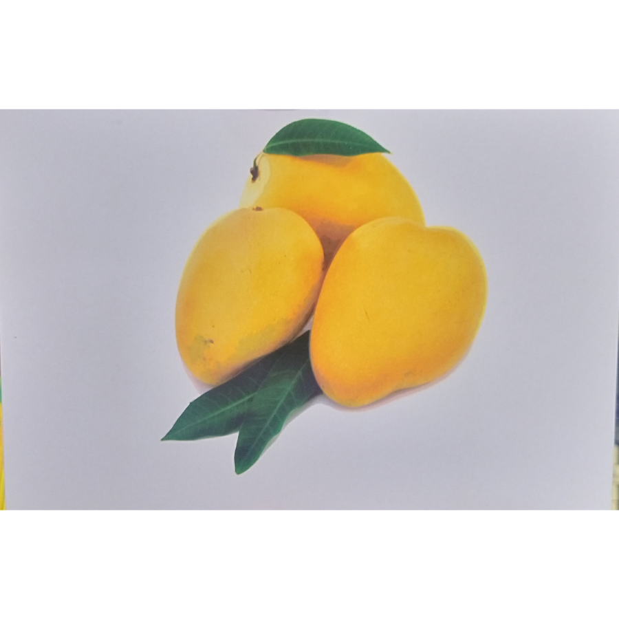 Fruits Flash Cards for Young Reader