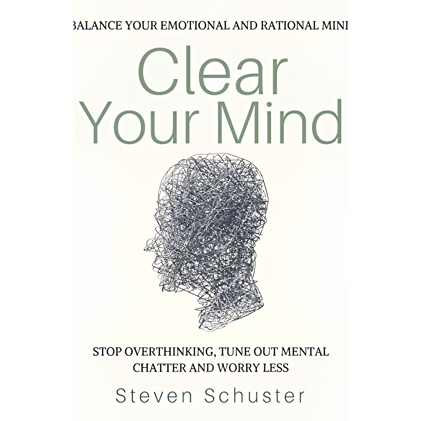 Clear Your Mind by Steven Schuster Book